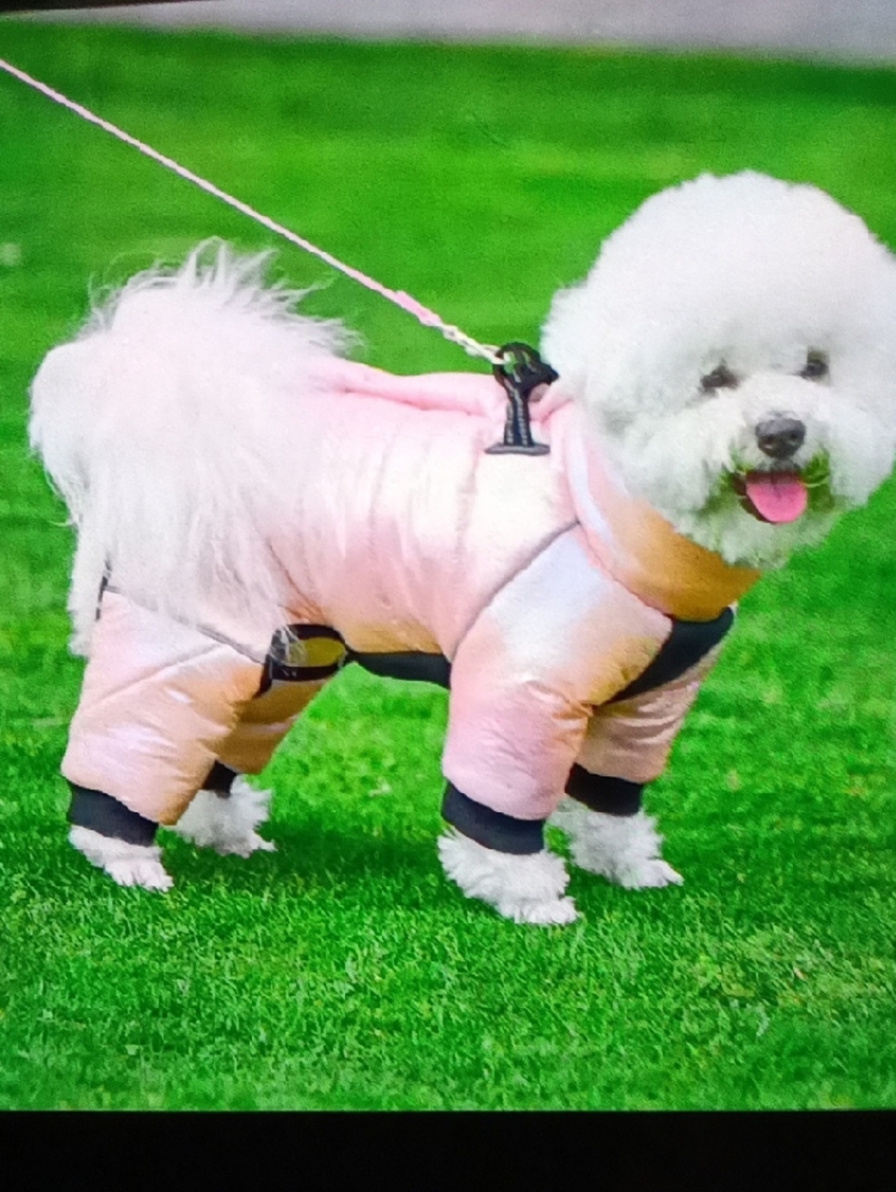 Pink 🩷 Waterproof 🐶 Dog Coat, Jacket Size M